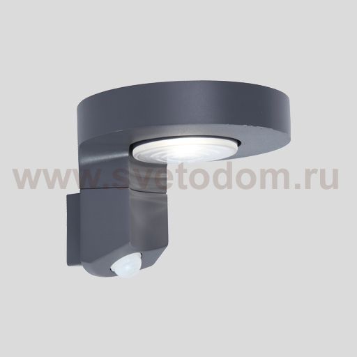 Светильник настенный на солнечной батарее с датчиком движения Oasis Light P9067-PIR