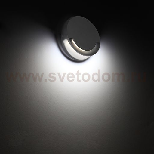 Светильник настенный Oasis Light W1882