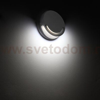 Светильник настенный Oasis Light W1882