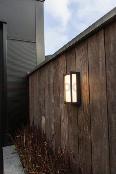 Светильник настенный Oasis Light W1930-3К