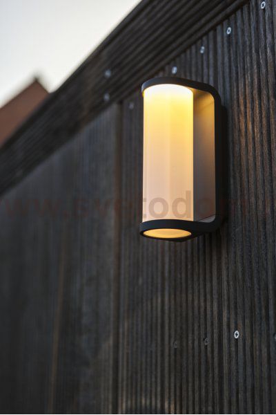 Светильник настенный Oasis Light W1936