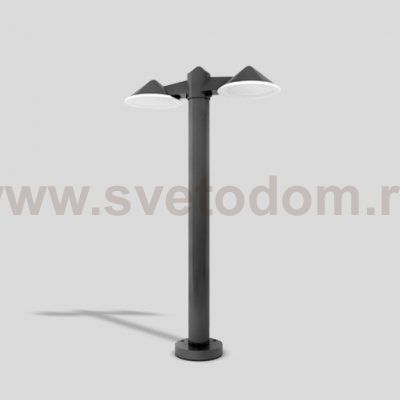 Светильник столб уличный 2 светильника Oasis Light W21876N3-950