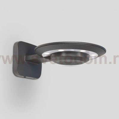 Светильник настенный Oasis Light W2256S