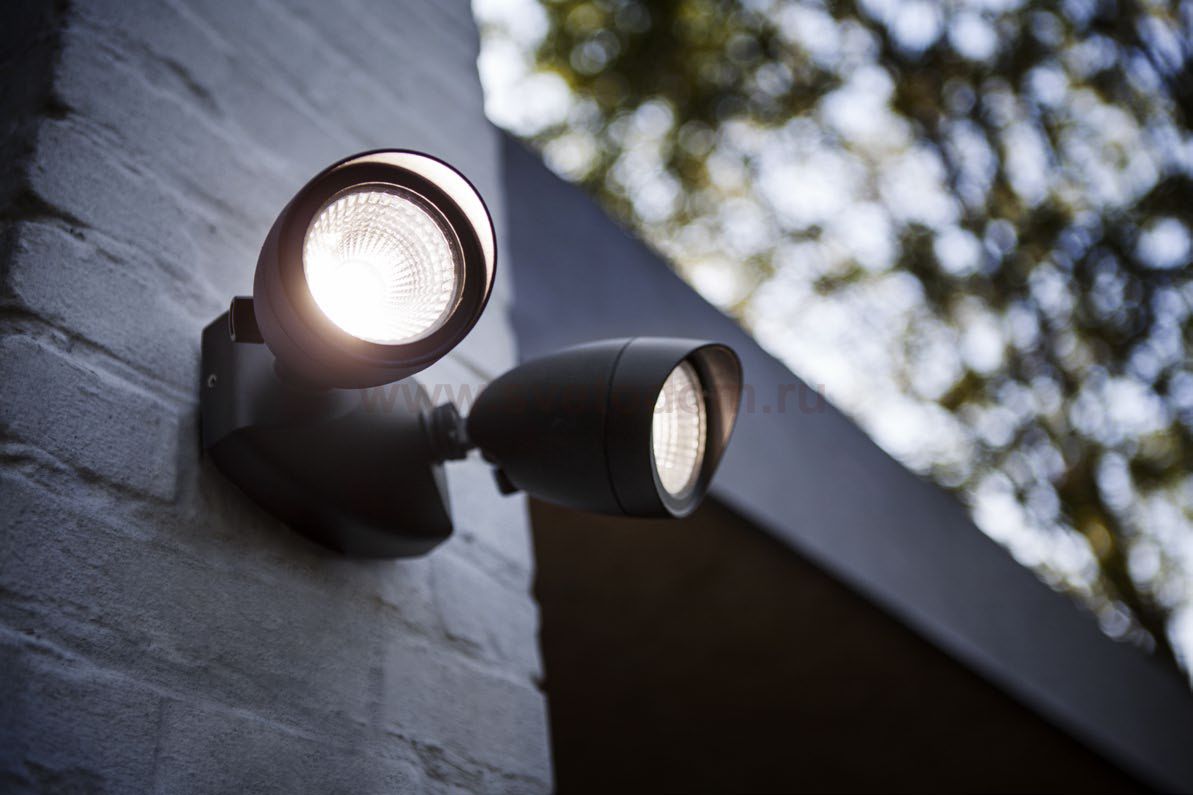 Прожектор настенный с 2 поворотными модулями Oasis Light W6219A