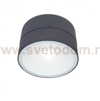 Светильник настенно-потолочный Oasis Light W6260L