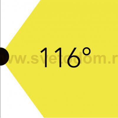 Светильник настенно-потолочный Oasis Light W6260L