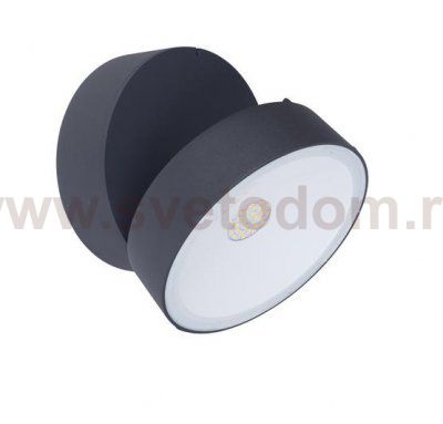 Светильник настенно-потолочный Oasis Light W6260L