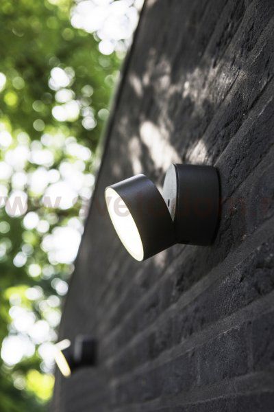 Светильник настенно-потолочный Oasis Light W6260