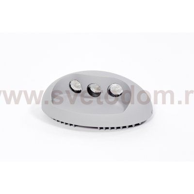Светильник настенный Oasis Light W1860 S 