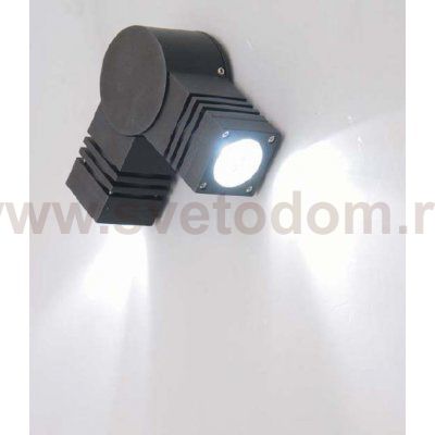 Светильник настенный Oasis Light W78053 Gr