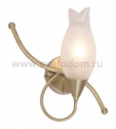 Светильник настенный бра Odeon light 1319/1W AMMANIA
