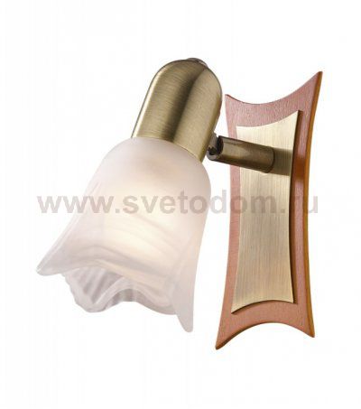 Светильник поворотный спот Odeon light 1968/1W ILSA