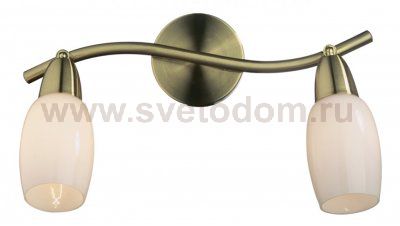 Светильник поворотный спот Odeon light 2067/2W OTTA