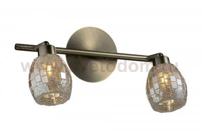 Светильник поворотный спот Odeon light 2166/2W GLOSSE