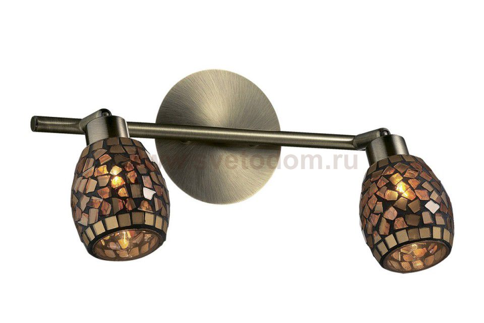 Светильник поворотный спот Odeon light 2167/2W GLOSSE