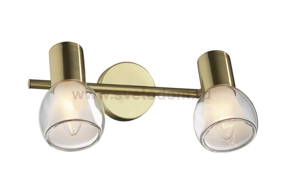 Светильник поворотный спот Odeon light 2176/2W MOSS