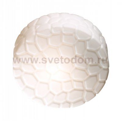 Светильник настенно-потолочный Odeon light 2246/2A LUNO