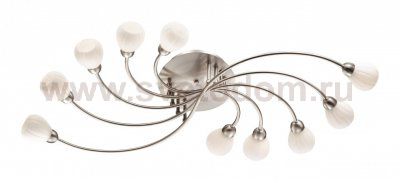 Люстра Odeon light 2469/10C AKRON