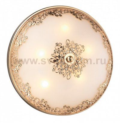 Настенно-потолочный светильник Odeon light 2676/5C ALESIA