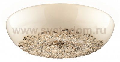 Настенно-потолочный светильник Odeon light 2677/8C Palmira