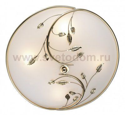 Светильник настенно-потолочный Odeon light 2728/4C REGANA