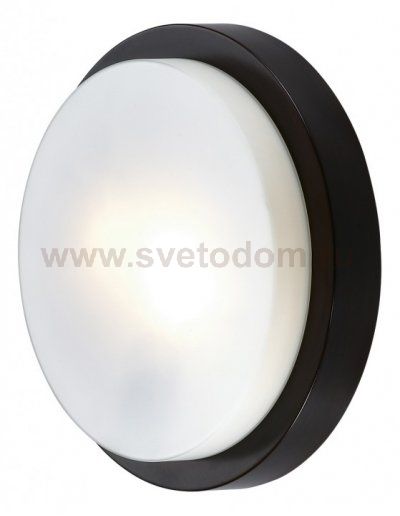 Настенно - потолочный светильник Odeon light 2744/2C HOLGER