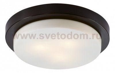 Настенно - потолочный светильник Odeon light 2744/3C HOLGER