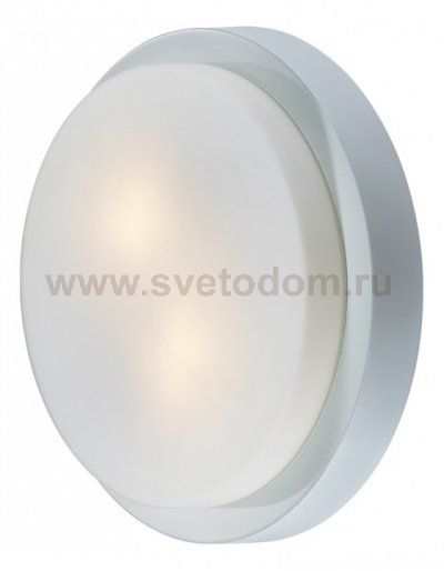 Светильник настенно-потолочный Odeon light 2745/2C HOLGER