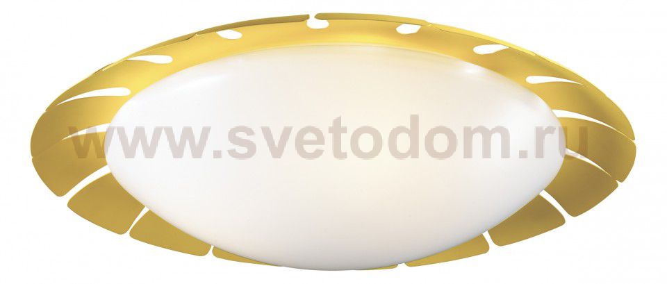 Светильник настенно-потолочный Odeon light 2753/3C ZITA