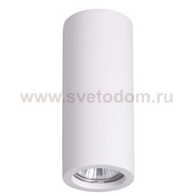 Потолочный накладной светильник Odeon light 3554/1C GIPS