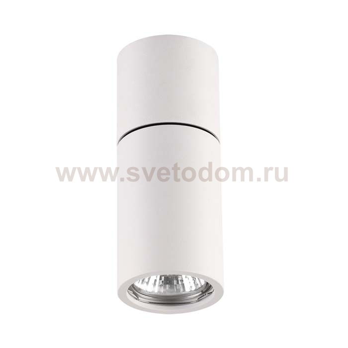 Потолочный накладной светильник Odeon light 3582/1C DUETTA