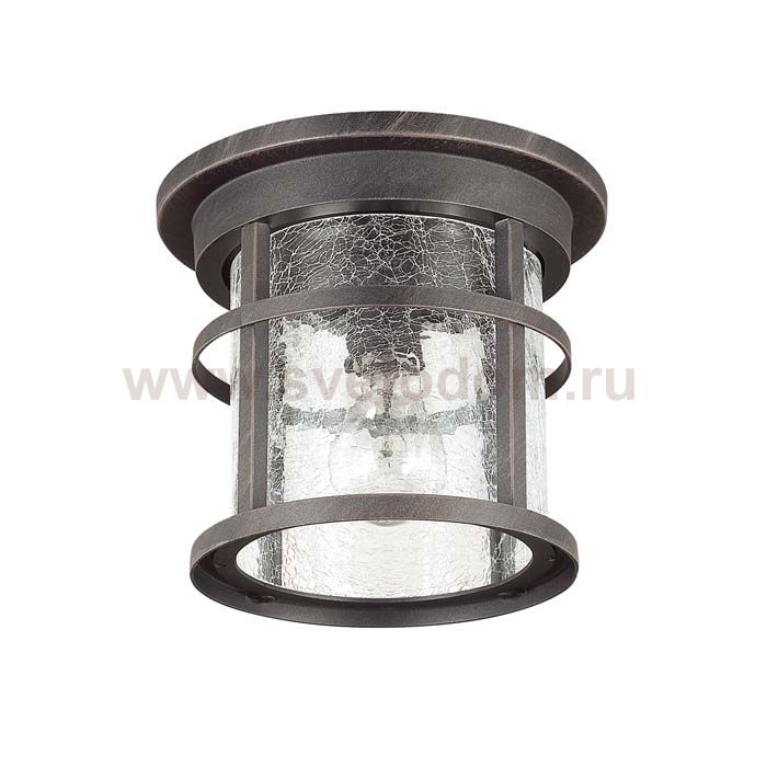 Уличный потолочный светильник Odeon light 4044/1C VIRTA