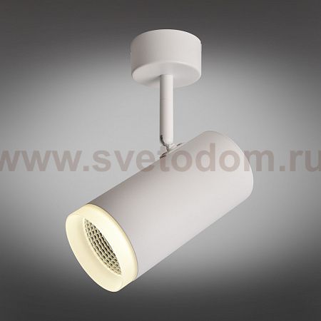 Светильник настенно-потолочный Omnilux OML-102609-20 Maratea