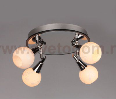 Спот Omnilux OML-21501-04 Leiston