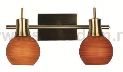 Спот Omnilux OML-21901-02 Madeley