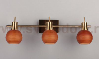 Спот Omnilux OML-21901-03 Madeley