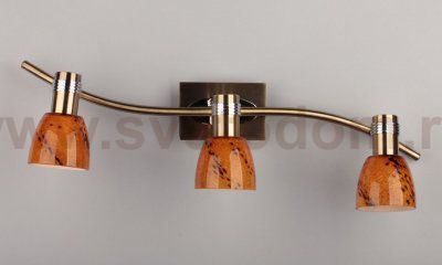 Спот Omnilux OML-22001-03 Malton