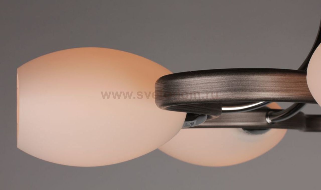 Люстра Omnilux OML-26927-05 Klaus