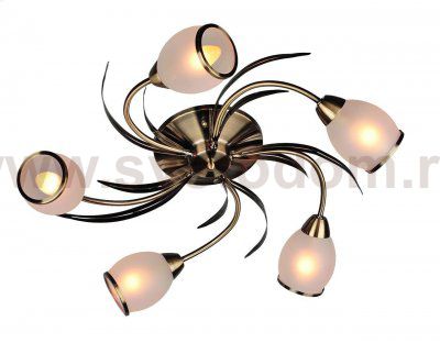 Люстра потолочная Omnilux OML-35827-05 Auxois