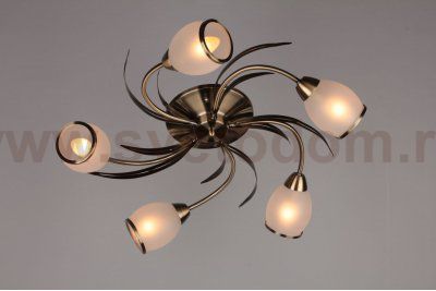 Люстра потолочная Omnilux OML-35827-05 Auxois