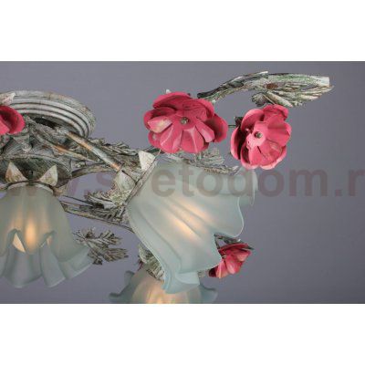 Люстра Omnilux OML-36907-05 Deoro