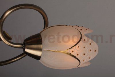 Люстра потолочная Omnilux OML-37907-03 Vallage