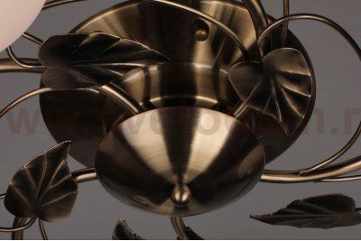 Люстра потолочная Omnilux OML-38107-05 Corsica