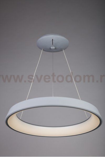 Люстра подвесная Omnilux OML-48613-50 Neoneli