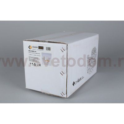 Светильник настенный бра Omnilux OML-50801-01 Torri