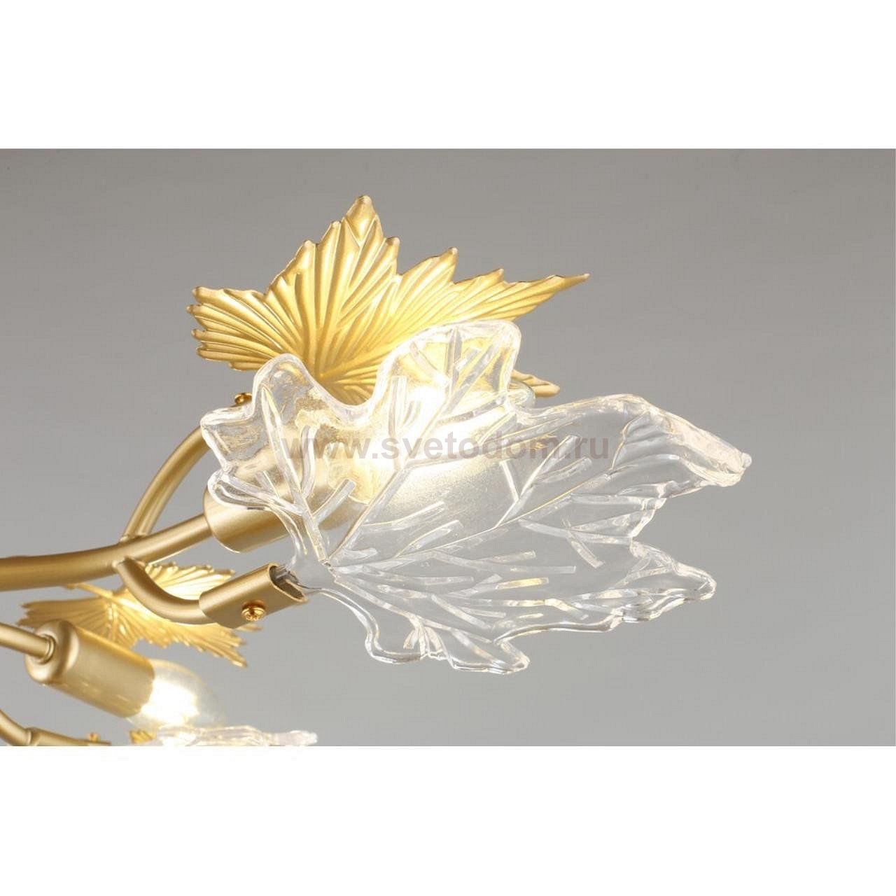 Светильник Omnilux OML-52707-09