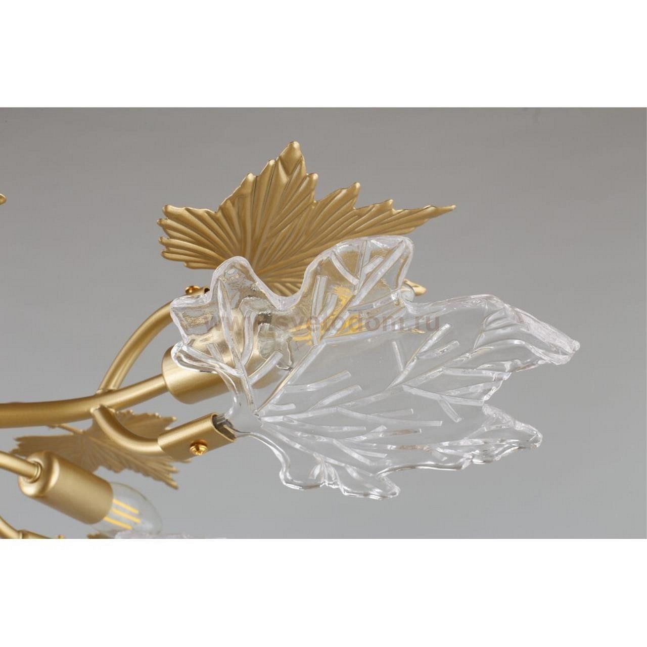 Светильник Omnilux OML-52707-09