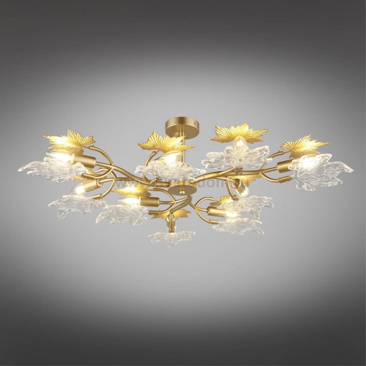 Светильник Omnilux OML-52707-09