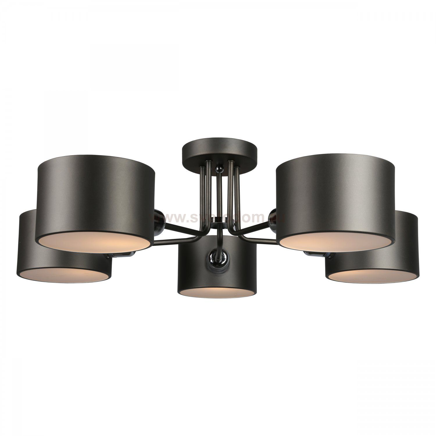 Люстра потолочная Omnilux OML-54507-05 Liser