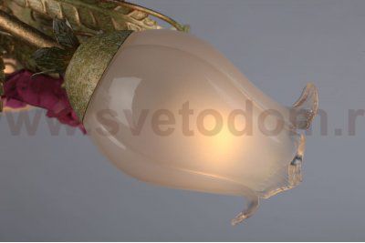 Люстра потолочная Omnilux OML-61307-05 Monza